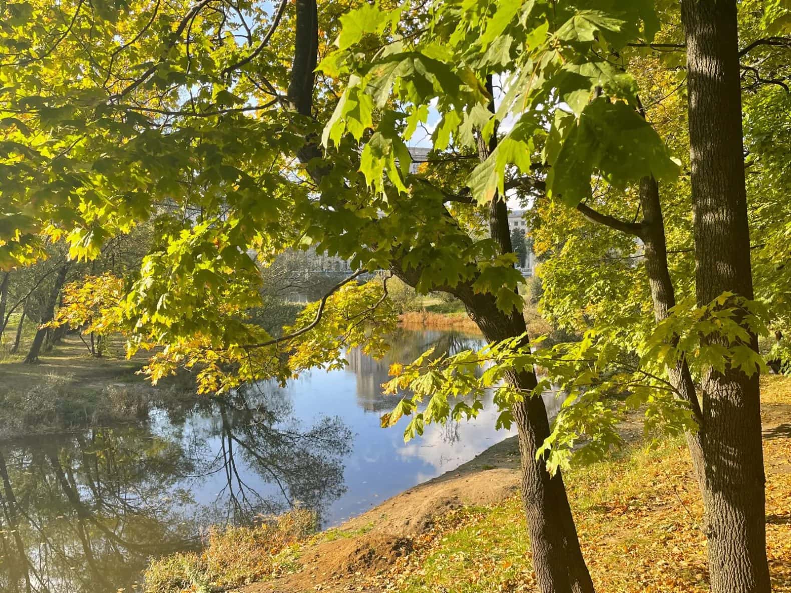Лефортовский парк — фото 2