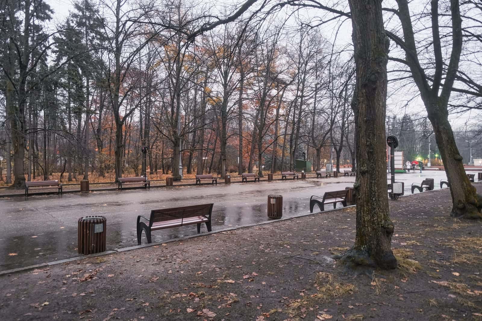 Сокольники — фото 2