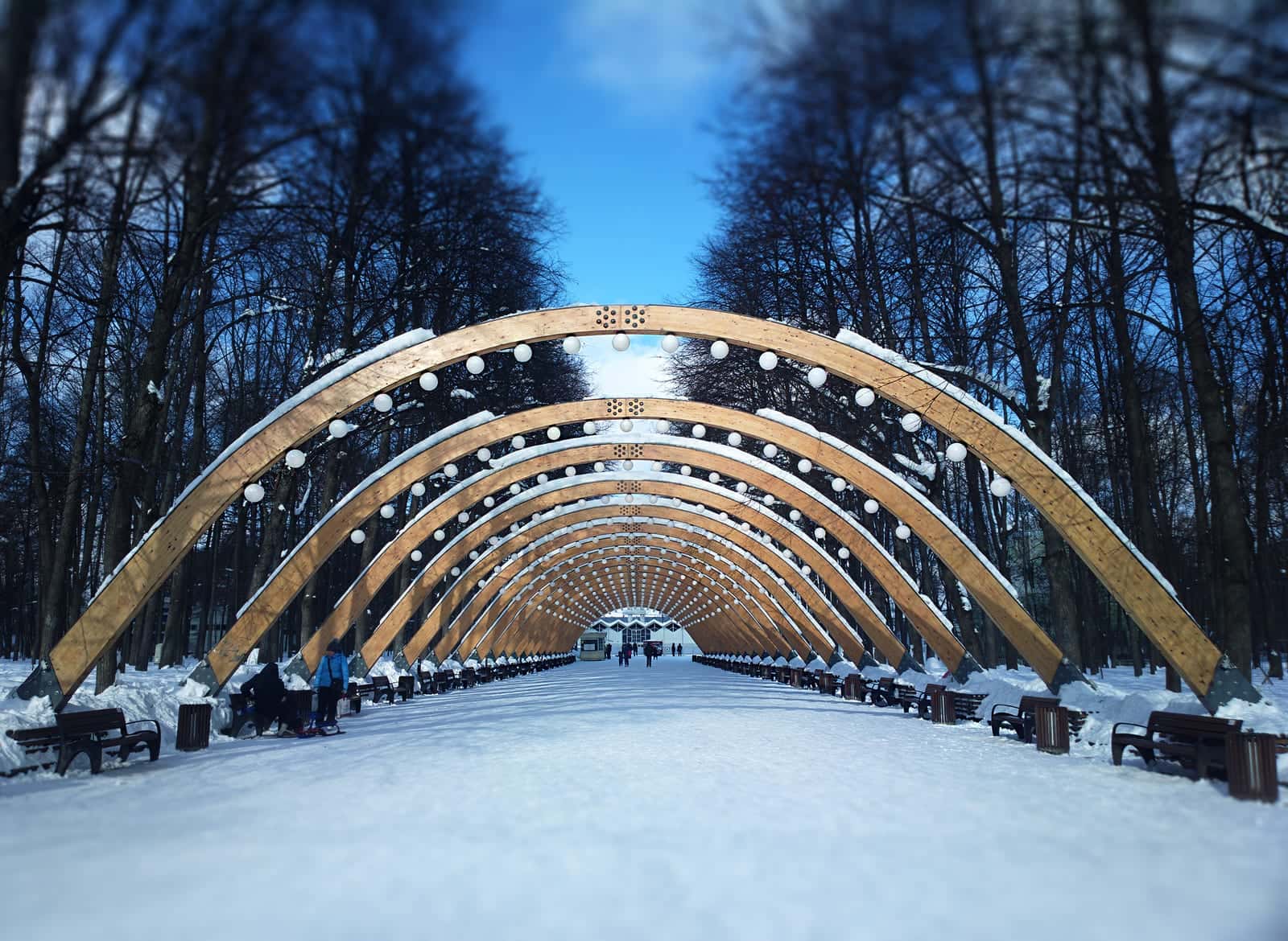 Сокольники — фото 5