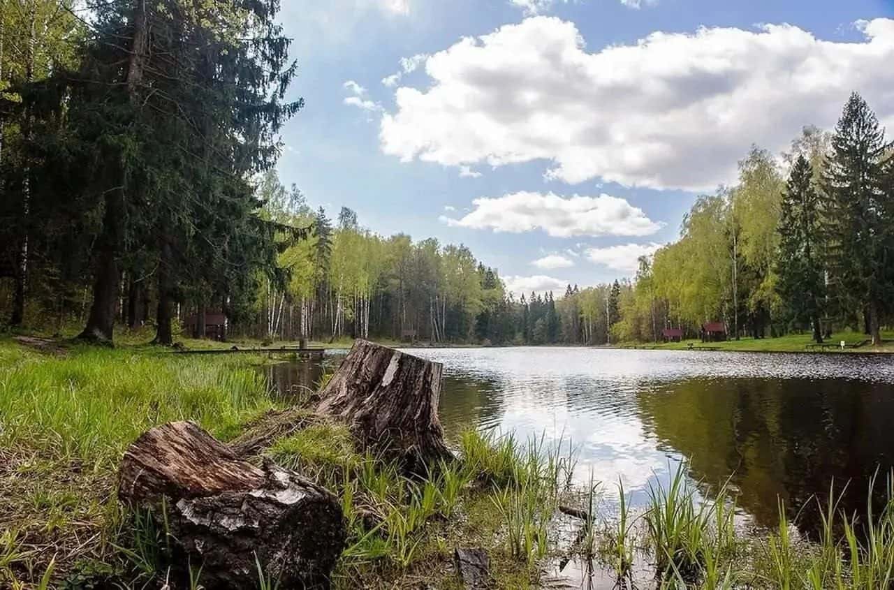 Терлецкий парк — фото 2