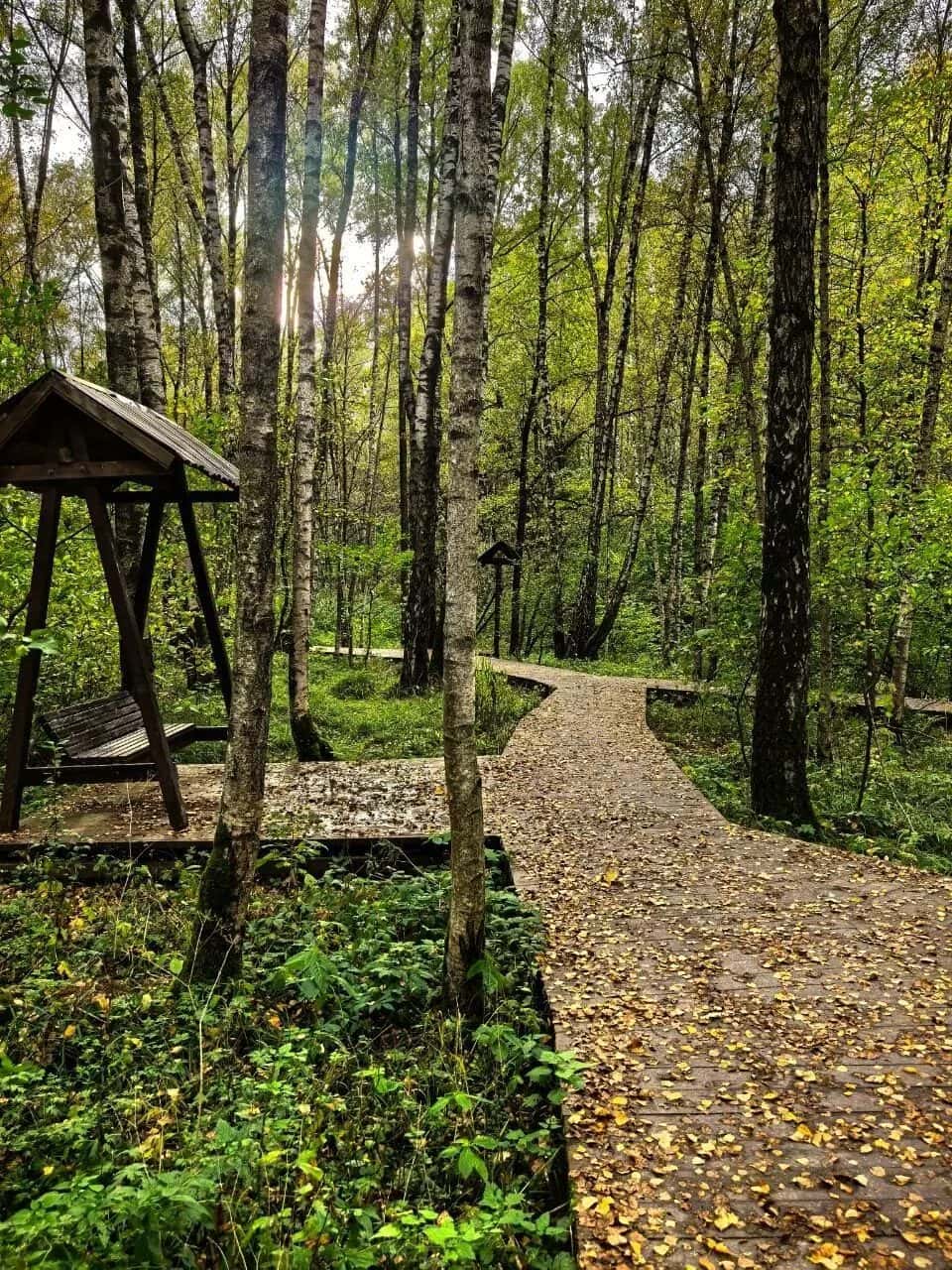 Тропарёвский парк — фото 2