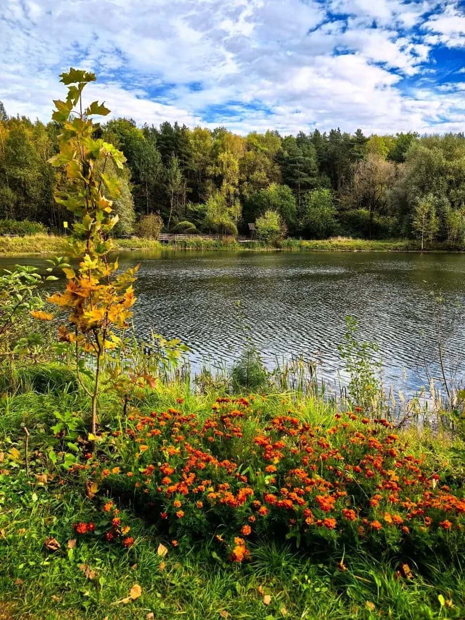 Тропарёвский парк — фото 3