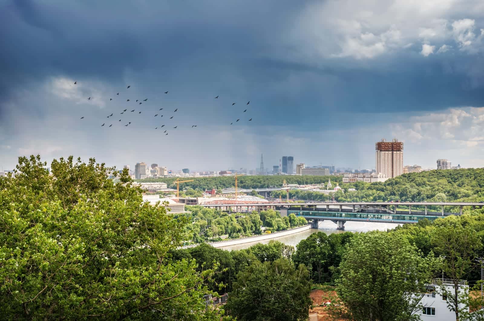 Воробьёвы горы — фото 4