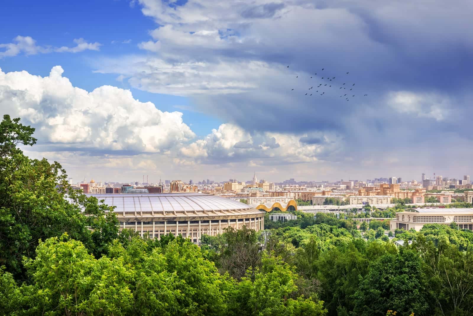 Воробьёвы горы — фото 3